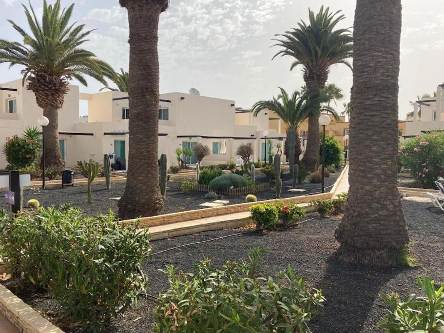 Corralejo Suite Pool & Gardens - Alisios Playa 외부 사진