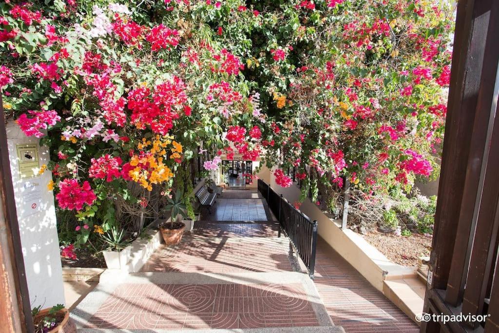 Corralejo Suite Pool & Gardens - Alisios Playa 외부 사진