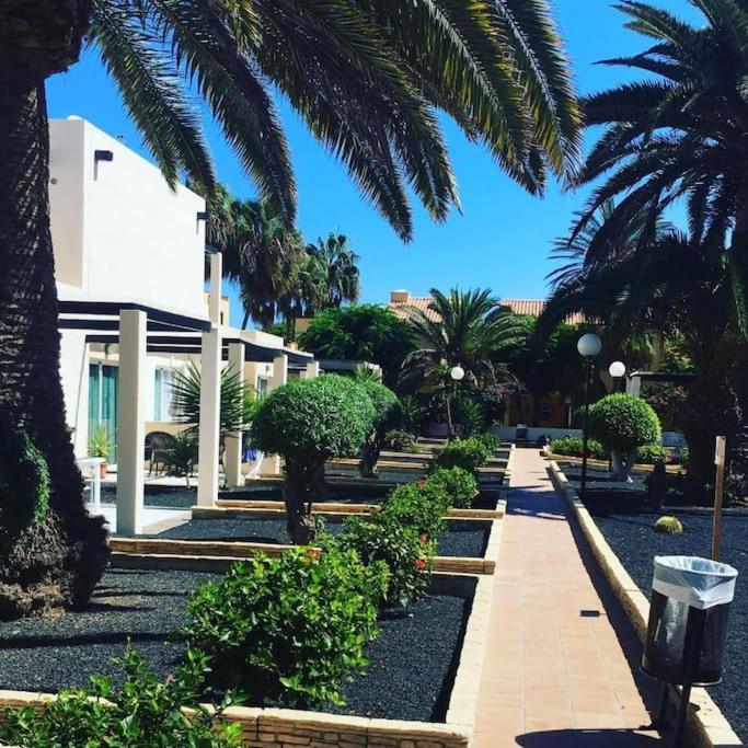 Corralejo Suite Pool & Gardens - Alisios Playa 외부 사진